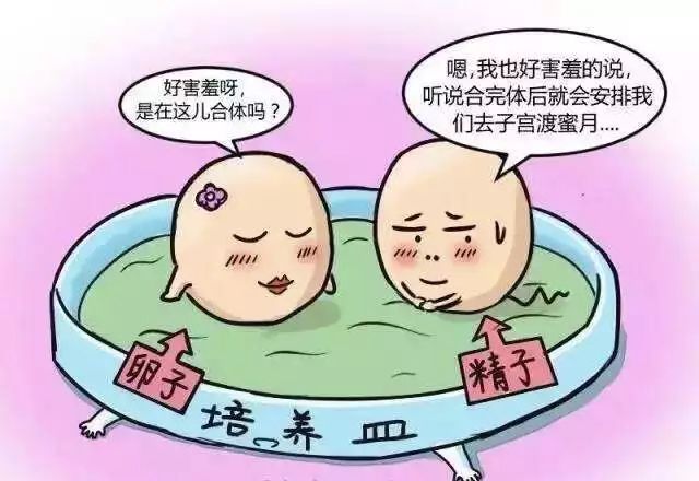 试管婴儿，是怎样把娃孵出来的?