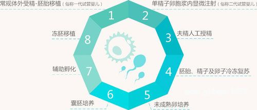 第一代试管婴儿(IVF)