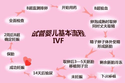 第一代试管婴儿(IVF)