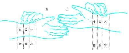 滑脉