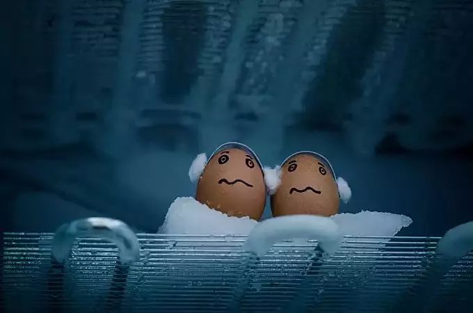 冷冻卵子是一种常态