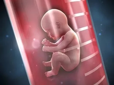 爱之晶IVF：关于美国试管婴儿的4大谎言！你还在相信吗？