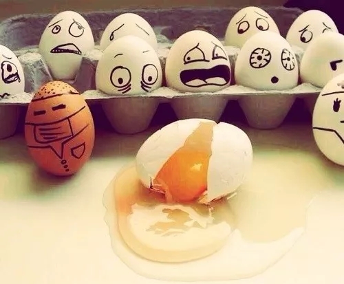 从乐嘉“蛋碎”聊聊“蛋蛋”的事