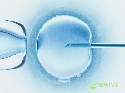 捐卵和卖卵的区别以及捐卵常识