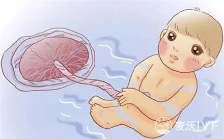 泰国试管婴儿孕期对胎儿伤害最大的八件事！