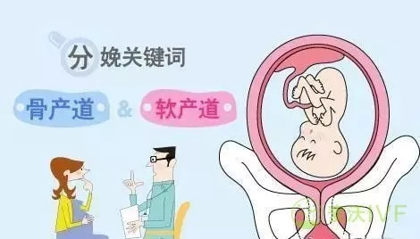 俄罗斯试管婴儿：如果您有这5种情况，基本与顺产无缘！