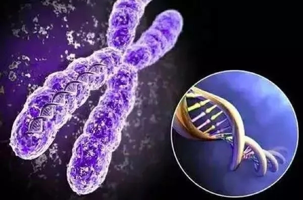 家族上如果有遗传性疾病做基因染色体筛查有多重要？