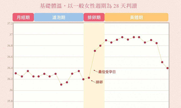 爱之晶海外试管名称解释——排卵监测