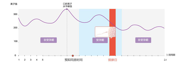 爱之晶海外试管名称解释——排卵监测