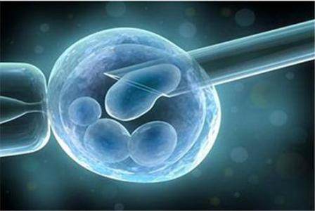 同济大学附属同济医院试管婴儿什么时候定方案