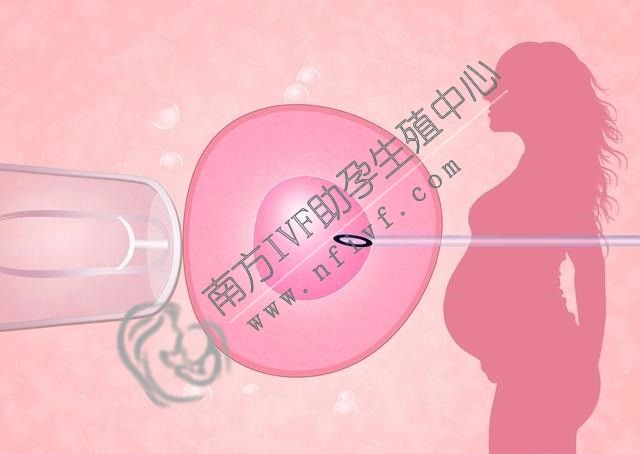 试管助孕_1