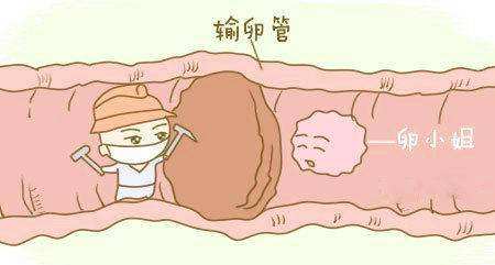 试管助孕_1