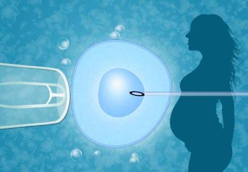 美国试管婴儿医院胚胎实验室重要性