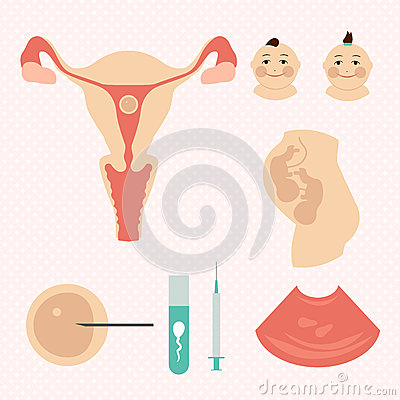 美国试管婴儿移植多胎成功后，准妈妈们该怎么吃？