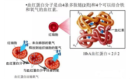 第三代试管婴儿_1