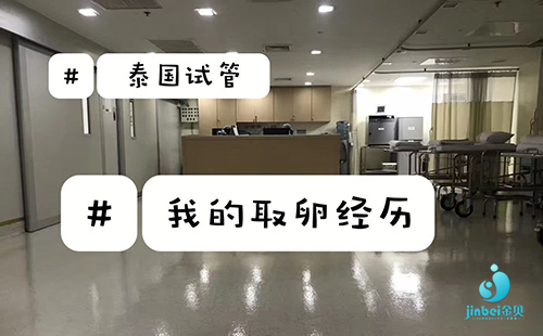 泰国试管_1