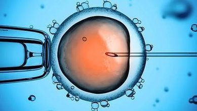  试管婴儿胚胎植入后注意事项