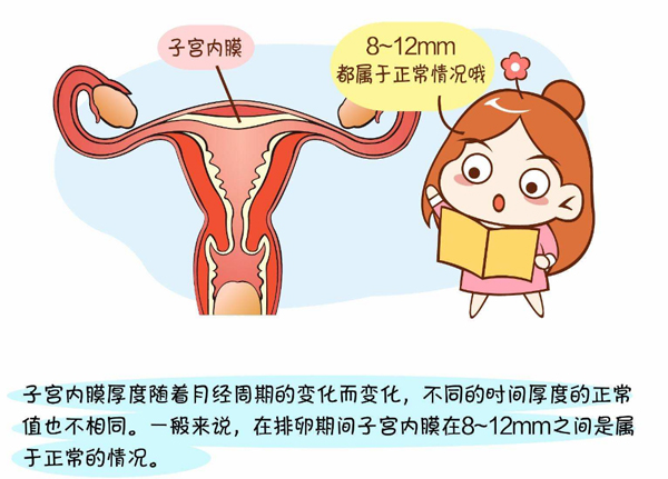 泰国试管婴儿对子宫内膜有哪些要求？子宫内膜厚度是否影响试管移植？