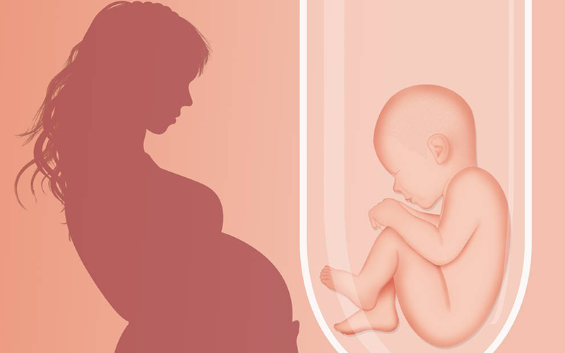 试管婴儿移植时放2个胚胎成功会更高吗?