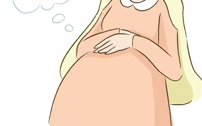 怀龙凤胎的孕妈示意图