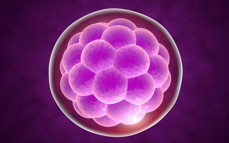 3个小卵泡能配成几个优质胚胎？