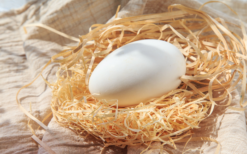 怀孕三个月吃鹅蛋对胎儿有什么好处？
