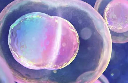 爱之晶：移植冻胚有几种方案，哪种方案成功率高？